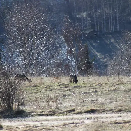 Wakacyjne Familia Casa vacanze *