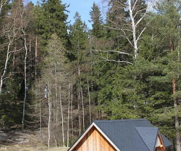 Wakacyjne Familia ドゥシュニキ・ズドルイ